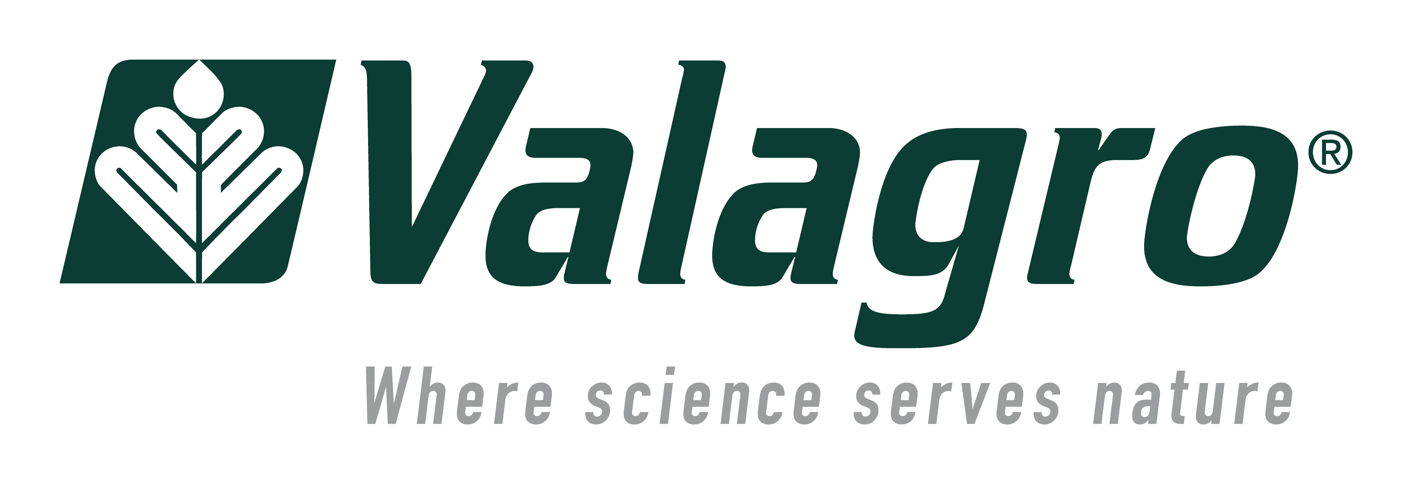 Bronze Sponsor